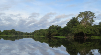 Amazonas Leticia