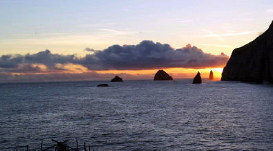 Isla de Malpelo