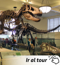 Museo de Historia Natural Nueva York