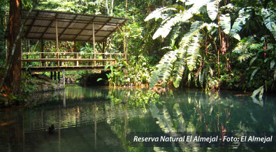 Reserva Natural El Almejal